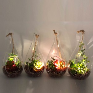 世界的な表示花瓶が付いているLEDのガラス卓上の装飾的な人工的な多肉植物
